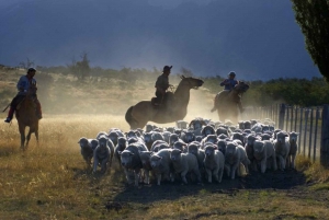 El Calafate: Estancia Nibepo Aike con Paseos a Caballo