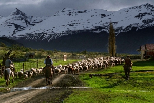 El Calafate: Ranczo Nibepo Aike z jazdą konną