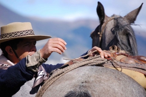 El Calafate: Nibepo Aike Ranch med ridning