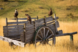 El Calafate: Nibepo Aike Ranch med ridning