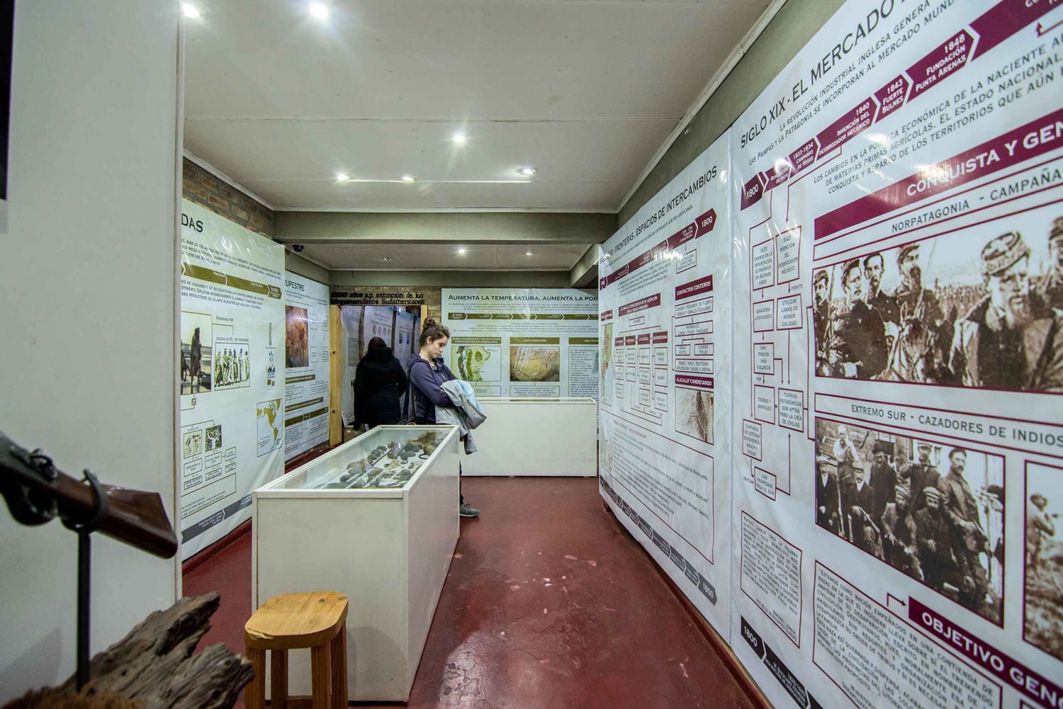 El Calafate: Panoramische Tour met Punta Walichu