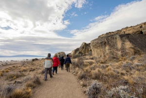 El Calafate: Panoramic Tour with Punta Walichu