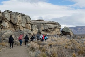 El Calafate: Panoramische Tour met Punta Walichu