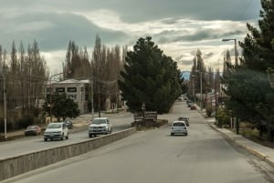 El Calafate: Panoramische Tour met Punta Walichu