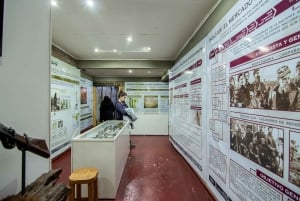 El Calafate: Panoramische Tour met Punta Walichu