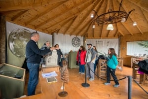 El Calafate: Panoramische Tour met Punta Walichu