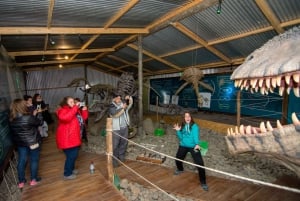 El Calafate: Panoramische Tour met Punta Walichu