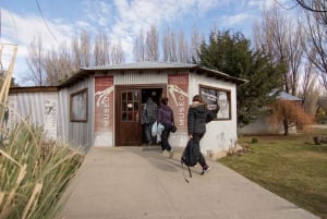 El Calafate: Panoramische Tour met Punta Walichu