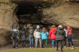 El Calafate: Panoramische Tour met Punta Walichu