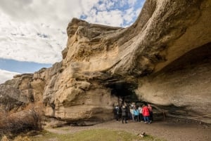 El Calafate: Panoramische Tour met Punta Walichu