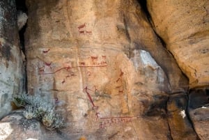 El Calafate: Panoramische Tour met Punta Walichu