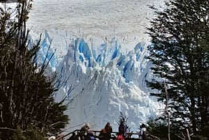 El Calafate: Perito Moreno gletsjer guidet tur
