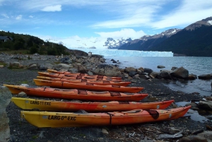 El Calafate: kayak en Perito Moreno con transporte