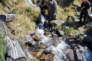 El Calafate: minicaminata pro por el Perito Moreno (traslado opcional)