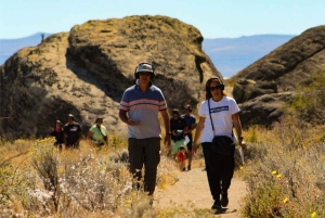 El Calafate : Réserve de Punta Walichu avec déjeuner et transfert