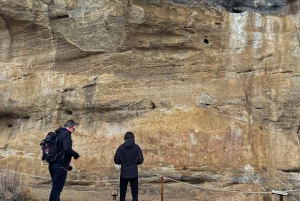 El Calafate : Réserve de Punta Walichu avec déjeuner et transfert