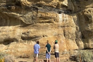 El Calafate : Réserve de Punta Walichu avec déjeuner et transfert