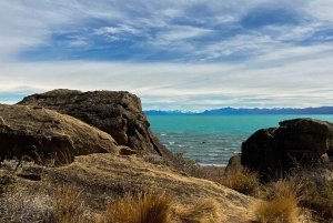 El Calafate : Réserve de Punta Walichu avec déjeuner et transfert