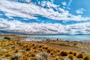 El Calafate : Réserve de Punta Walichu avec déjeuner et transfert