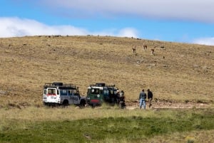 SAFARI EXPERIENCE - VILLIELÄIMET JA AROKSET