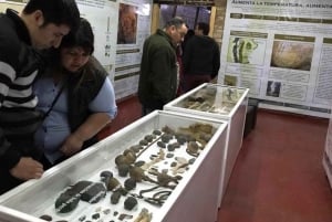 El Calafate: Self-Guided History Museum Tour