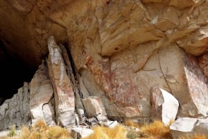 Wycieczka krajoznawcza do El Calafate z jaskiniami Walichu