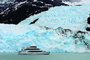 El Calafate: Tour en barco por los glaciares Spegazzini y Upsala