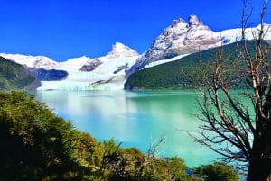 El Calafate: Tour en barco por los glaciares Spegazzini y Upsala