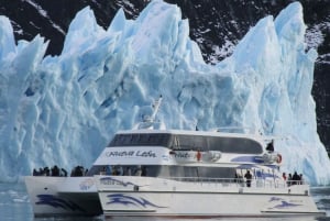 El Calafate: Todo Glaciares Bootsfahrt