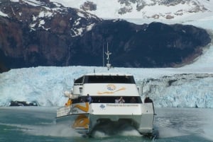 El Calafate: Todo Glaciares båtresa