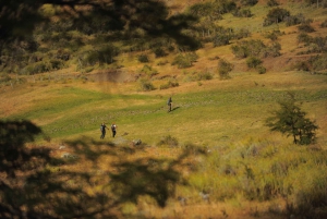 El Calafate: Vandring i Cerro Frias