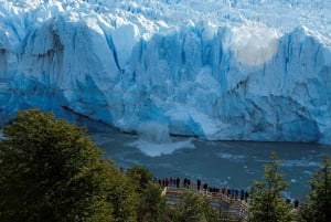 El Calafate: Resa till den berömda glaciären Perito Moreno