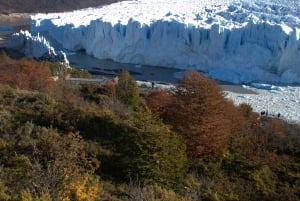 El Calafate: Morenon jäätikölle.