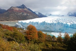 El Calafate: Resa till den berömda glaciären Perito Moreno