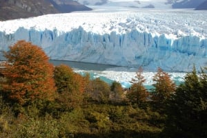 El Calafate: Resa till den berömda glaciären Perito Moreno