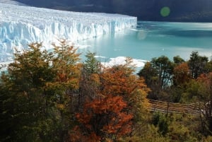 El Calafate: Morenon jäätikölle.