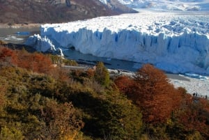 El Calafate: Morenon jäätikölle.