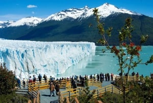 El Calafate: Reis naar de beroemde Perito Moreno gletsjer