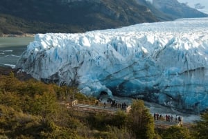 El Calafate: Tur til den berømte Perito Moreno-breen