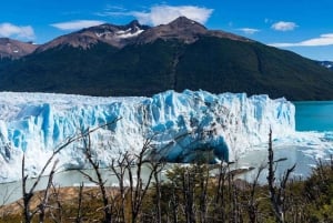 El Calafate: Trip to the Famous Perito Moreno Glacier