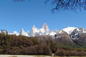 El Chaltén: Trekking Laguna de los Tres
