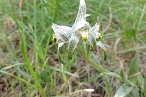 El Chaltén: Trekking Laguna de los Tres