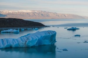 El Chaltén: Navegación al Glaciar Viedma