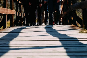 Excursion à terre au bout du monde avec train
