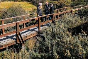 Excursion à terre au bout du monde avec train