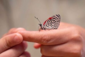 Iguazu Falls Private Day Tour: Brazil+Argentina +Boat Option