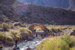 Excursión: Alta Montaña, Aconcagua y Puente del Inca