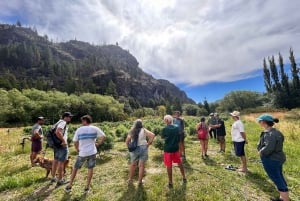 Cannabis Experience | Besøg i afgrøderne | Kanalerne