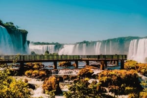 Verken de watervallen, het vogelpark en de safari in Macuco