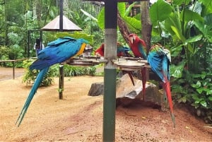 Verken de watervallen, het vogelpark en de safari in Macuco